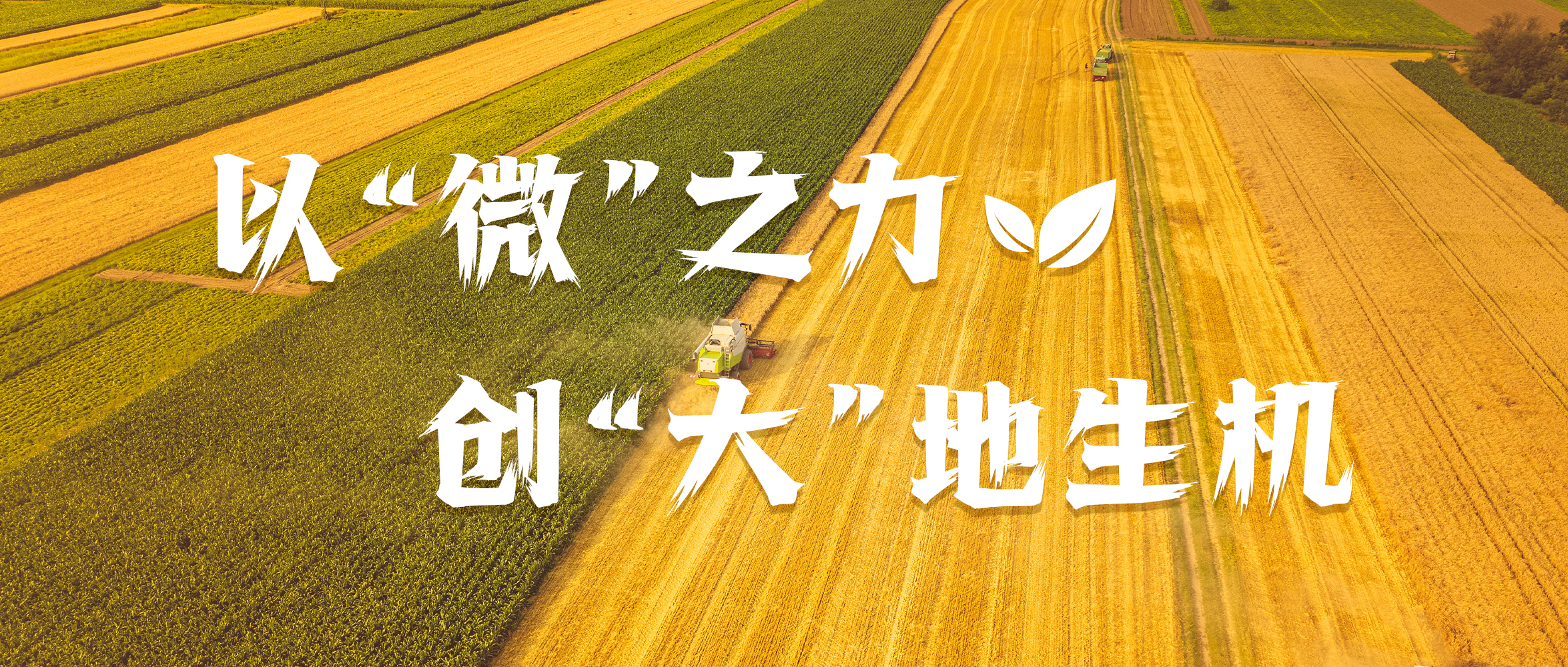 &#113;&#121;&#21315;&#20159;&#45;&#113;&#121;&#21315;&#20159;&#40;&#20013;&#22269;&#41;&#19968;&#31449;&#24335;&#26381;&#21153;&#23448;&#26041;&#32593;&#31449;